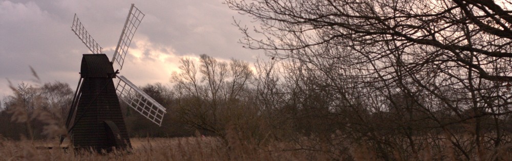 Thinking like a human