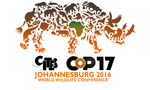 CoP17_Rhino_hp